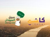 Sudan’s alsoug Raises US$5m for National Payments Network