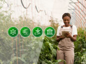 Nigeria’s Agri-Fintech Sector On the Rise
